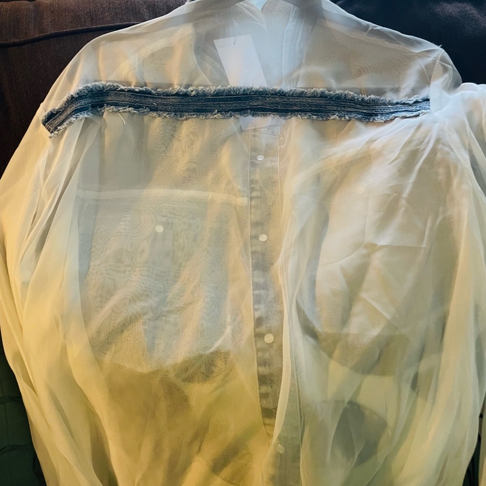 AKIRA Sheer White Blouse with Blue Trim